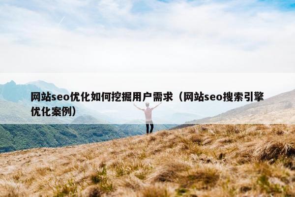 网站seo优化如何挖掘用户需求（网站seo搜索引擎优化案例）