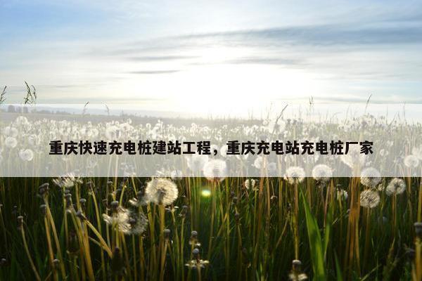 重庆快速充电桩建站工程，重庆充电站充电桩厂家