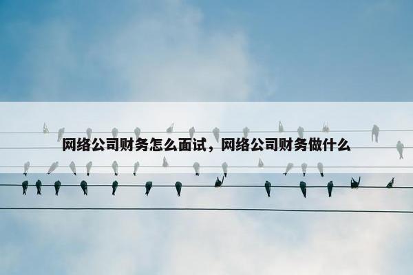 网络公司财务怎么面试，网络公司财务做什么