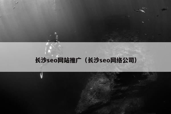 长沙seo网站推广（长沙seo网络公司）