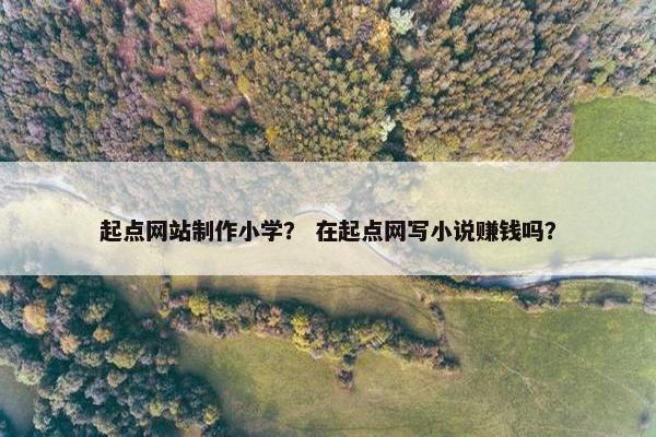 起点网站制作小学？ 在起点网写小说赚钱吗？