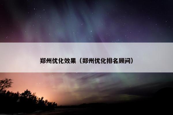 郑州优化效果（郑州优化排名顾问）