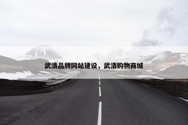 武清品牌网站建设，武清购物商城