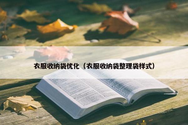 衣服收纳袋优化（衣服收纳袋整理袋样式）