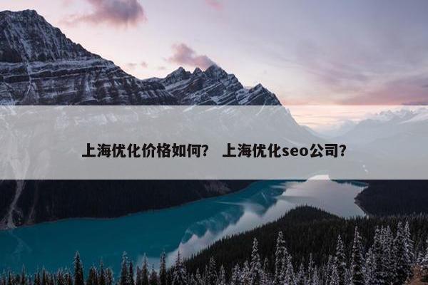 上海优化价格如何？ 上海优化seo公司？