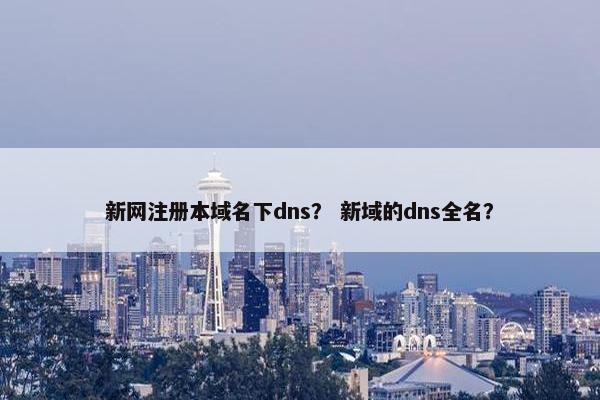 新网注册本域名下dns？ 新域的dns全名？