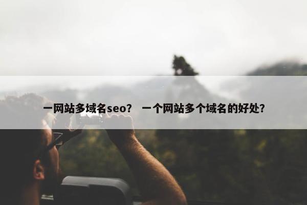 一网站多域名seo？ 一个网站多个域名的好处？