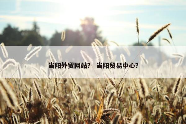 当阳外贸网站？ 当阳贸易中心？