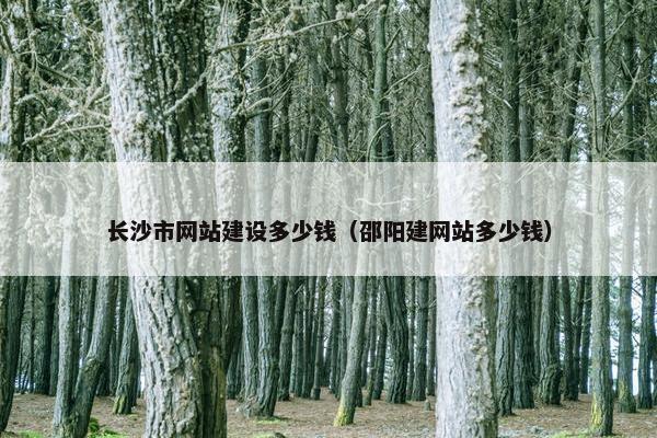 长沙市网站建设多少钱（邵阳建网站多少钱）