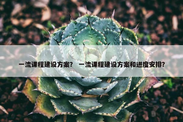 一流课程建设方案？ 一流课程建设方案和进度安排？