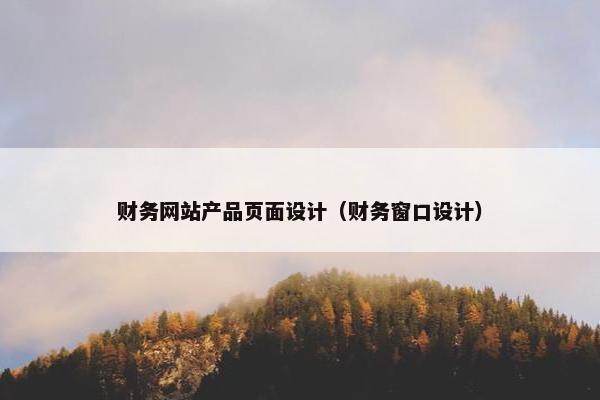 财务网站产品页面设计（财务窗口设计）