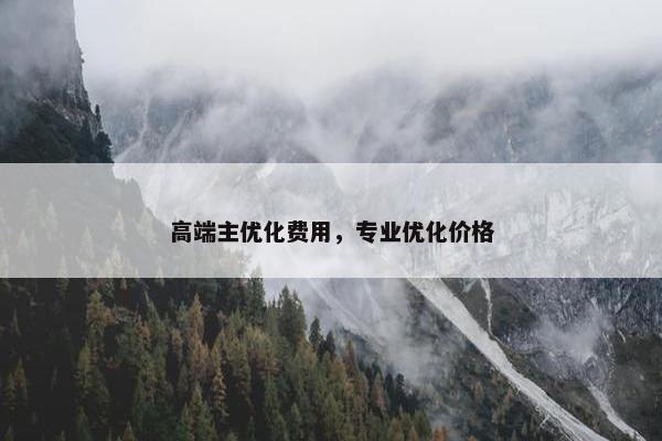 高端主优化费用，专业优化价格