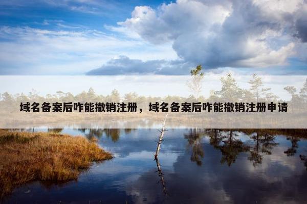 域名备案后咋能撤销注册，域名备案后咋能撤销注册申请