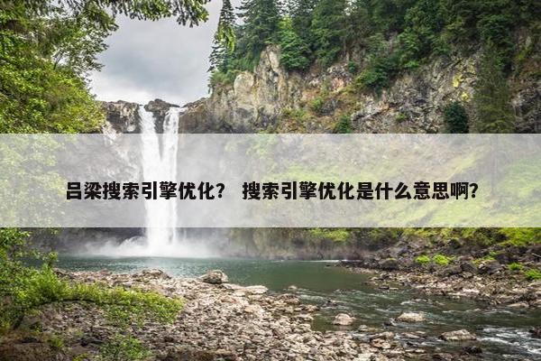 吕梁搜索引擎优化？ 搜索引擎优化是什么意思啊？