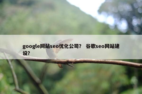 google网站seo优化公司？ 谷歌seo网站建设？