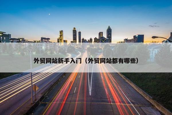 外贸网站新手入门（外贸网站都有哪些）