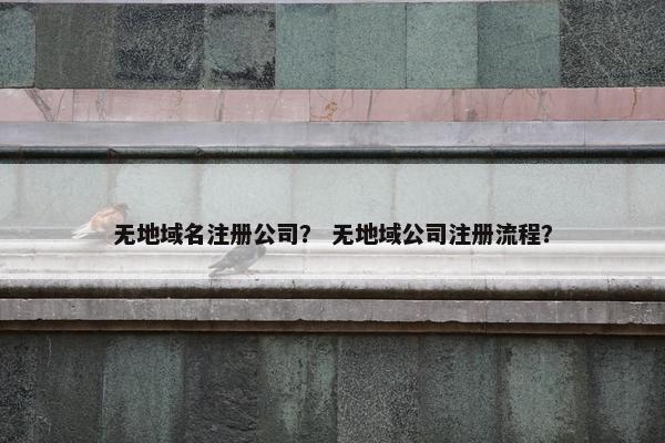 无地域名注册公司？ 无地域公司注册流程？