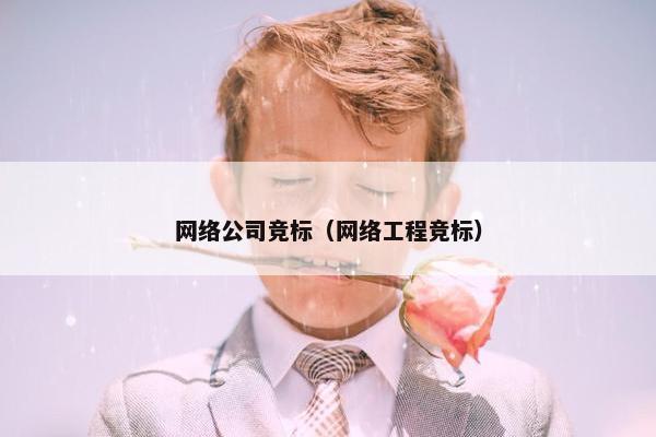 网络公司竞标（网络工程竞标）