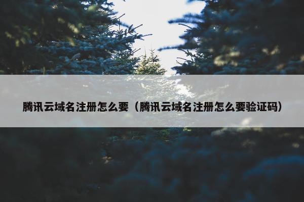 腾讯云域名注册怎么要（腾讯云域名注册怎么要验证码）