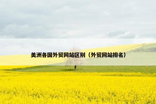 美洲各国外贸网站区别（外贸网站排名）