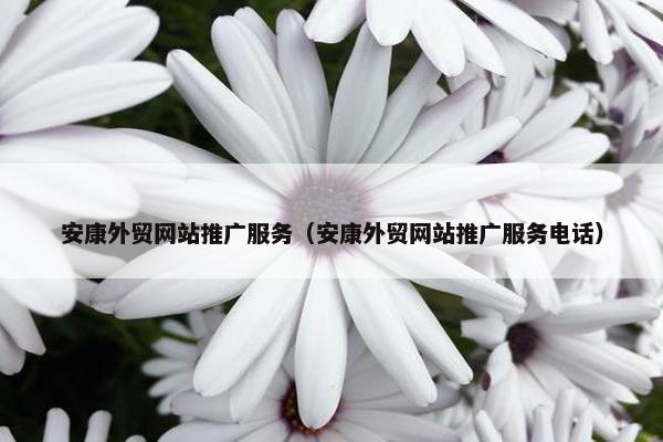 安康外贸网站推广服务（安康外贸网站推广服务电话）