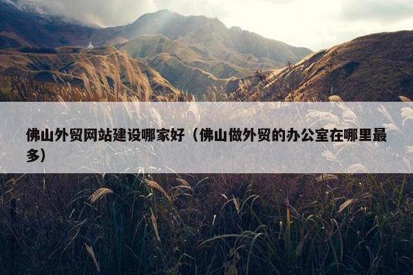 佛山外贸网站建设哪家好（佛山做外贸的办公室在哪里最多）