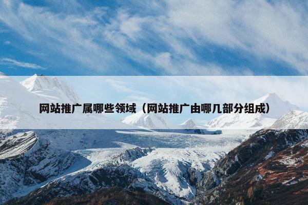 网站推广属哪些领域（网站推广由哪几部分组成）