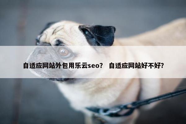 自适应网站外包用乐云seo？ 自适应网站好不好？