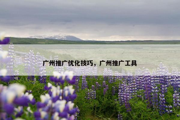 广州推广优化技巧，广州推广工具