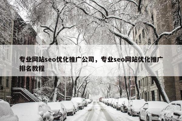 专业网站seo优化推广公司，专业seo网站优化推广排名教程