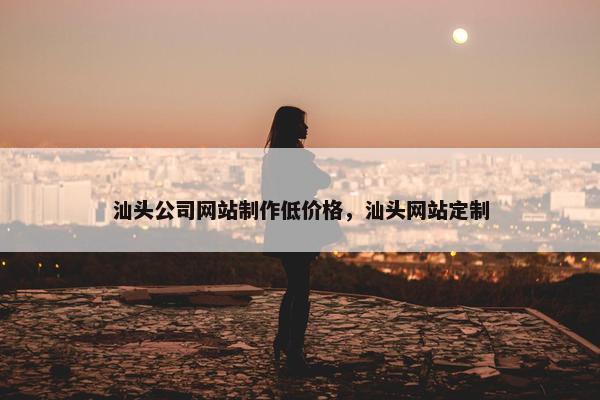 汕头公司网站制作低价格，汕头网站定制