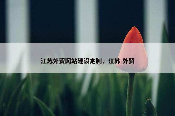 江苏外贸网站建设定制，江苏 外贸