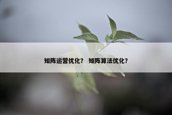 矩阵运营优化？ 矩阵算法优化？