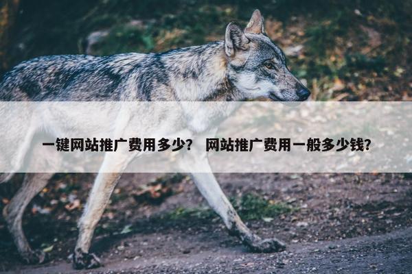 一键网站推广费用多少？ 网站推广费用一般多少钱？