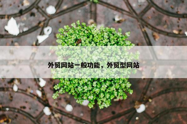 外贸网站一般功能，外贸型网站
