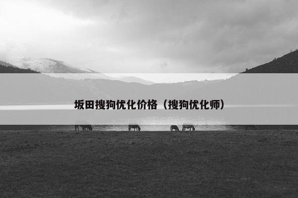 坂田搜狗优化价格（搜狗优化师）