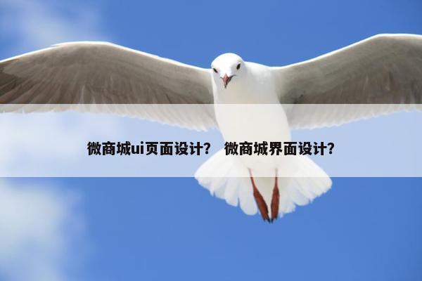 微商城ui页面设计？ 微商城界面设计？