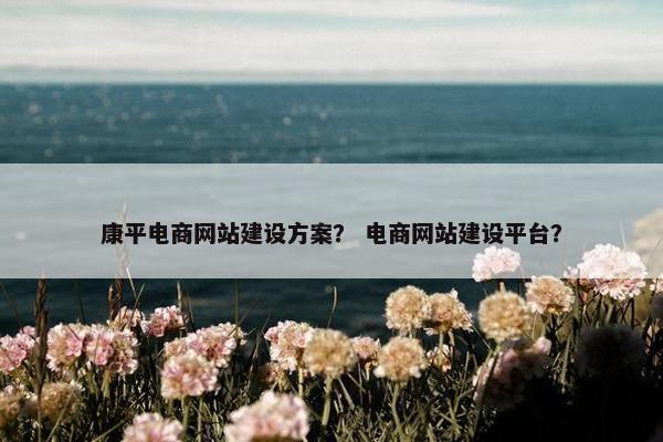 康平电商网站建设方案？ 电商网站建设平台？