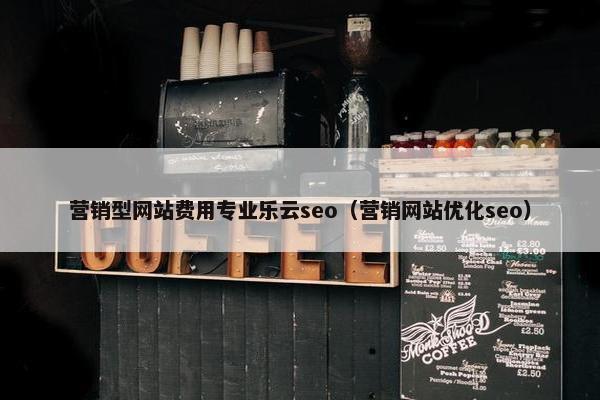 营销型网站费用专业乐云seo（营销网站优化seo）