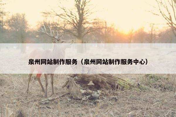 泉州网站制作服务（泉州网站制作服务中心）