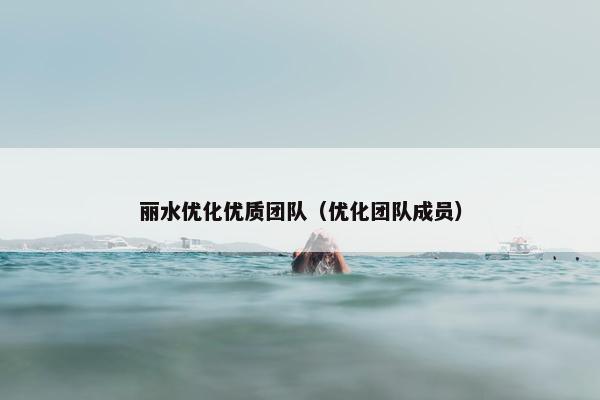 丽水优化优质团队（优化团队成员）