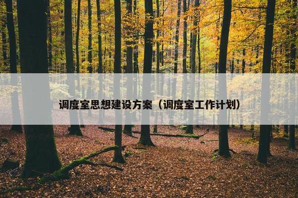 调度室思想建设方案（调度室工作计划）
