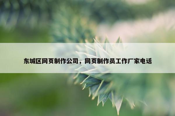 东城区网页制作公司，网页制作员工作厂家电话