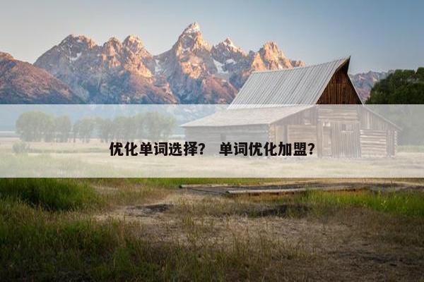 优化单词选择？ 单词优化加盟？