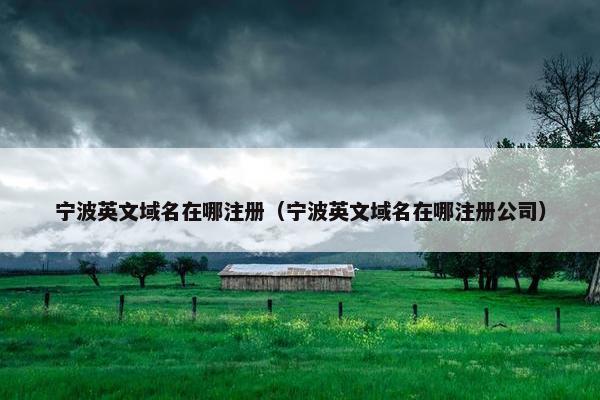 宁波英文域名在哪注册（宁波英文域名在哪注册公司）