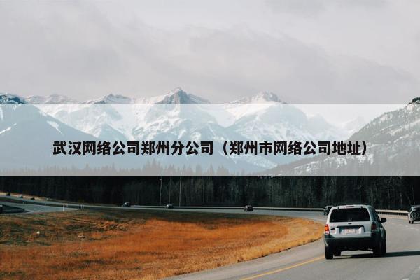 武汉网络公司郑州分公司（郑州市网络公司地址）