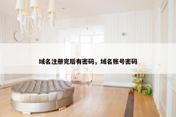 域名注册完后有密码，域名账号密码