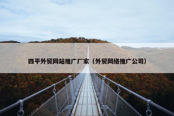 四平外贸网站推广厂家（外贸网络推广公司）