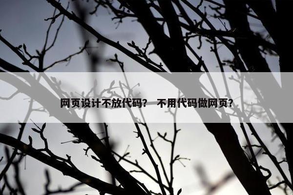 网页设计不放代码？ 不用代码做网页？