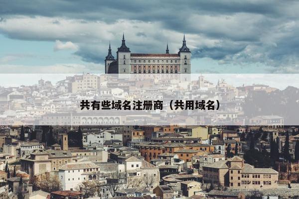共有些域名注册商（共用域名）